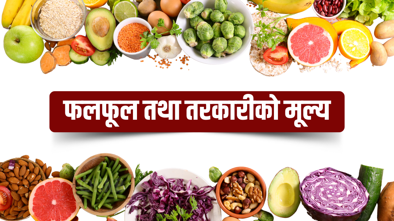 Websoft IT Nepal Pvt. Ltd.