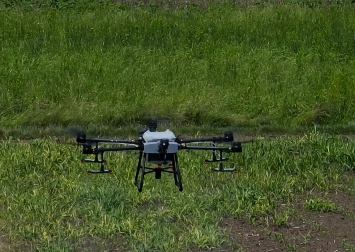 Chinese agricultural drones are popular in the UK and expected to be a major help to the economy.