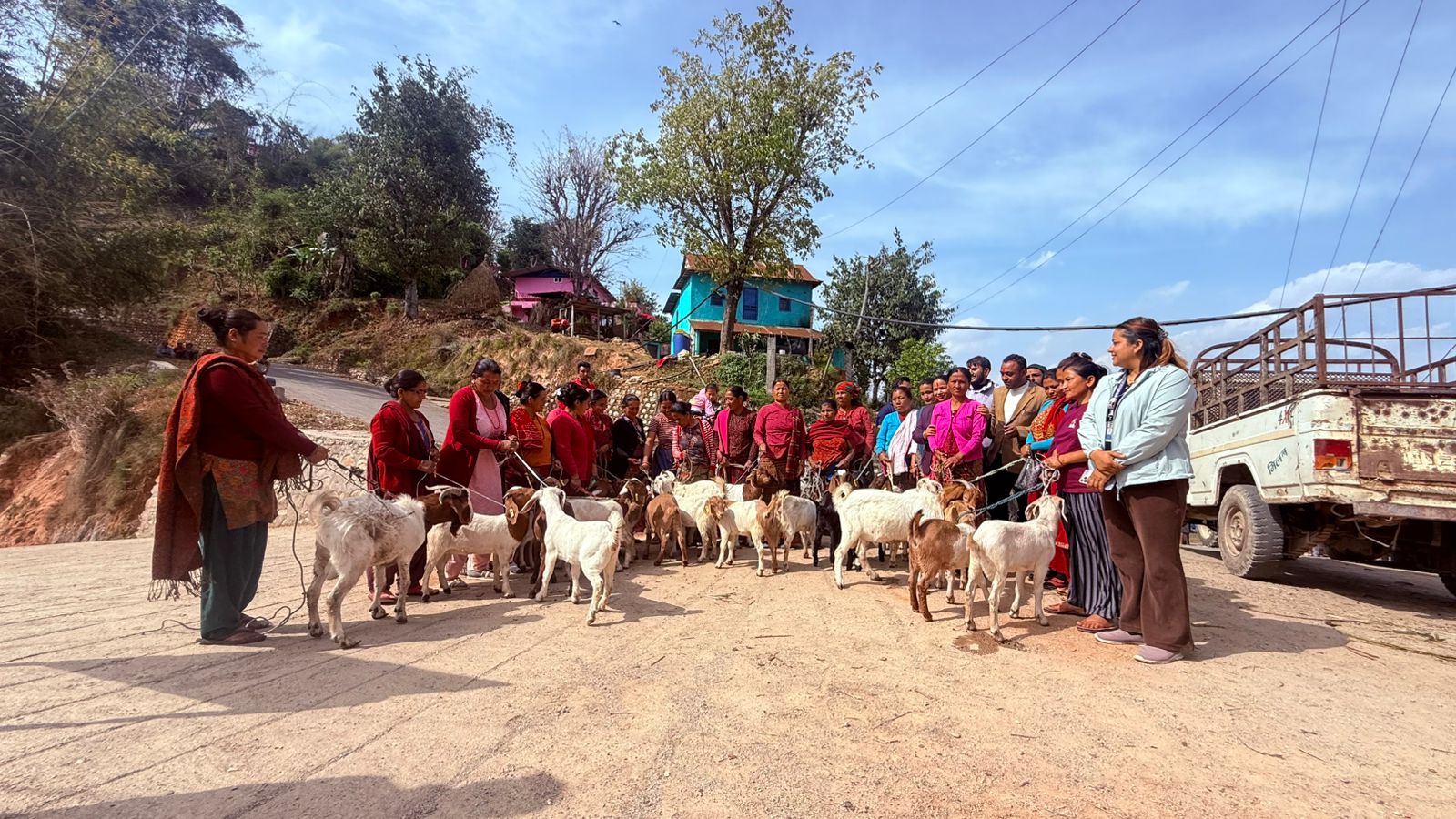 महिलालाई उत्पादनमा जोड्न बाख्राका पाठी र बीउ बोका वितरण