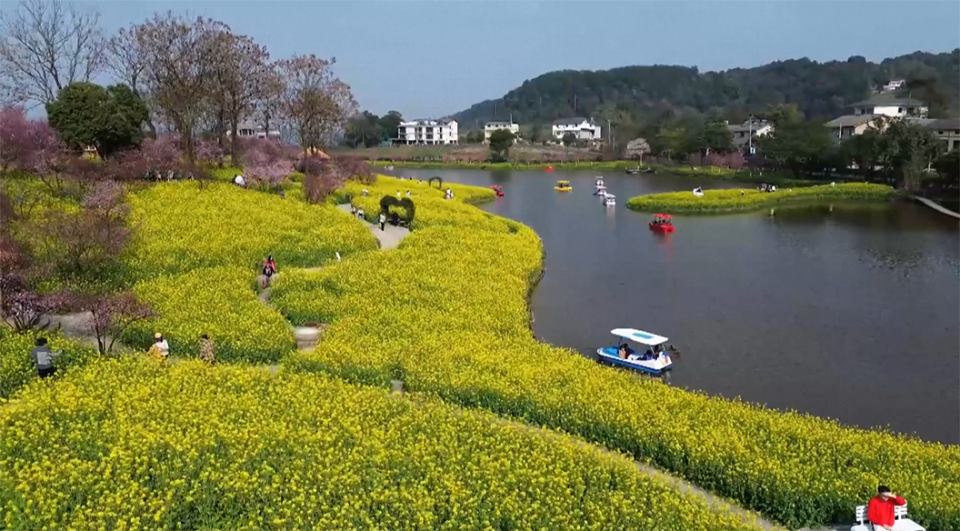 तोरी बारीको सौन्र्दयले बढायो चीनको पर्यटन