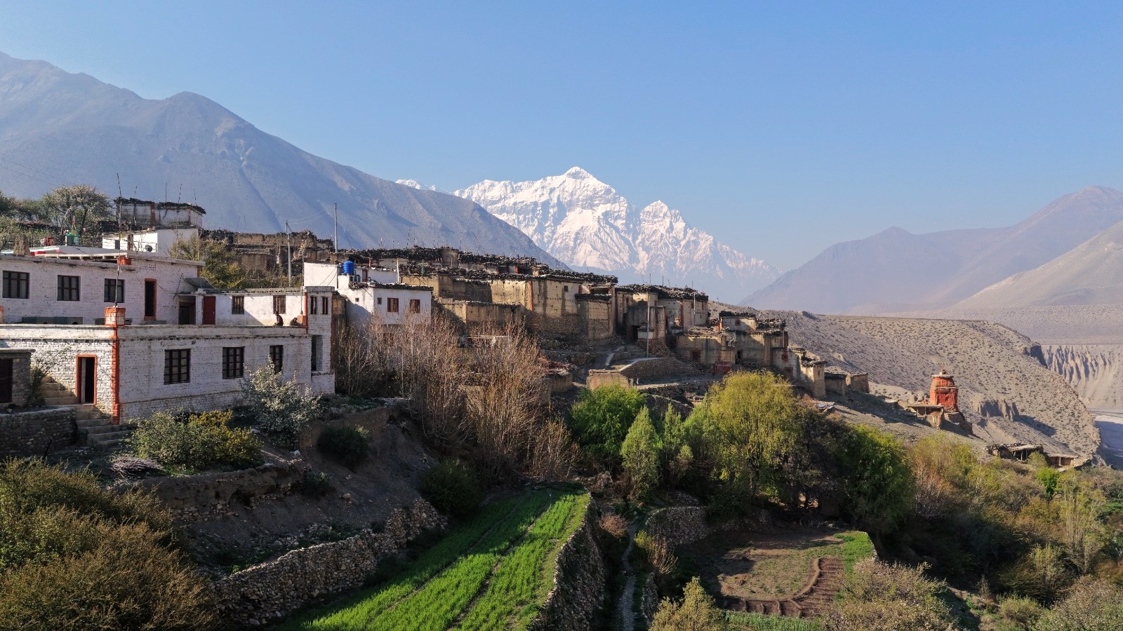 विश्व पृथ्वी दिवस :मरुभूमि, मानव बस्ती र हरियालीको संगम मुस्ताङको ताङ्वे गाउँ