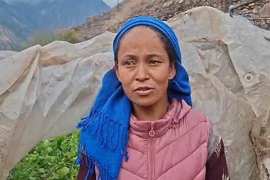 मुगुमा तरकारी खेतीबाट महिलाहरू आत्मनिर्भर