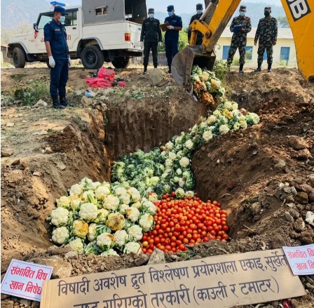 तरकारीमा अत्यधिक बिषादी भेटिएपछि कडाई