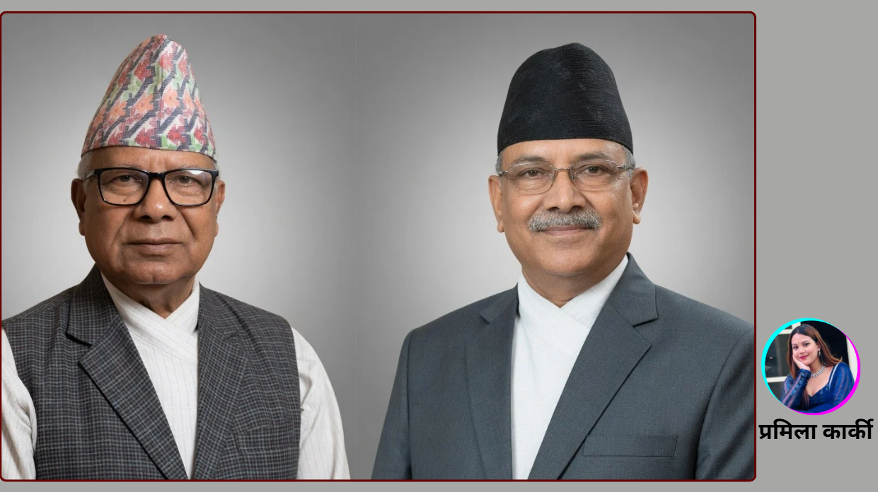 शक्तिशाली सरकारसामु निरीह प्रतिपक्ष