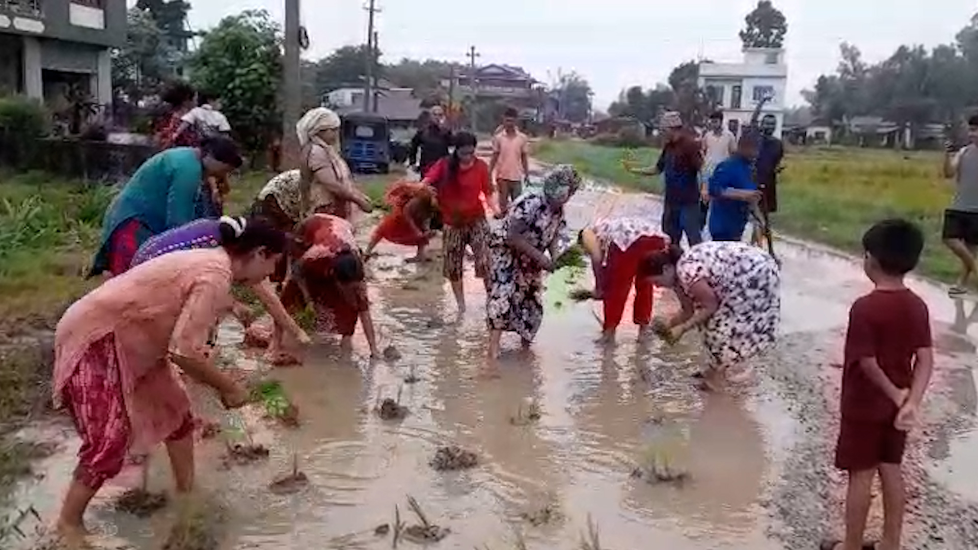 बाटोमा धान रोपेर स्थानीयको अनौंठो विरोध