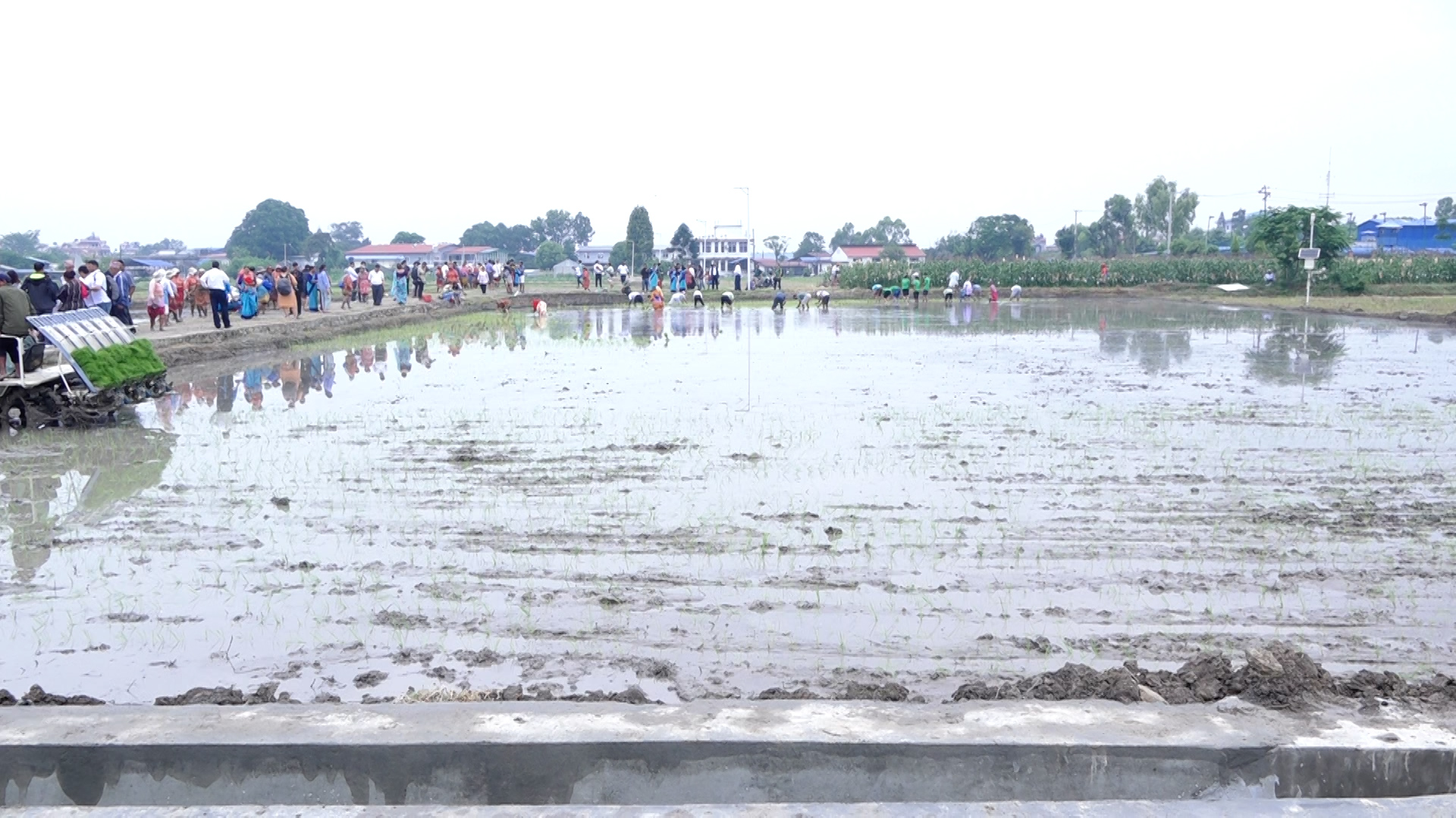 भविष्यमा खाद्य सुरक्षामा संकट