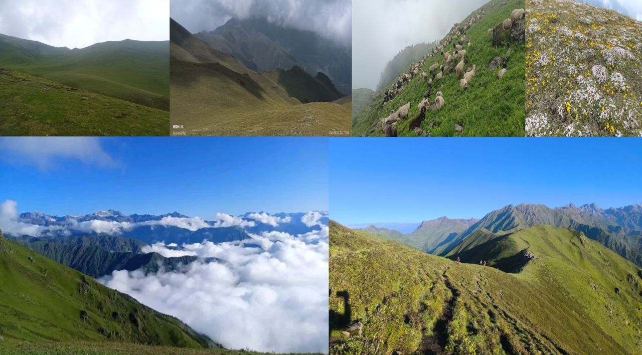 हिमालले ओढ्छन् हरियालीको चोली