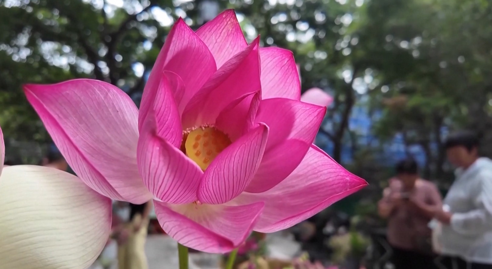 फेरियो पूर्वी चीनको अर्थतन्त्र