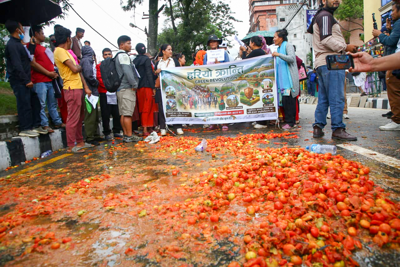 टमाटर किसानको माग सम्बोधन