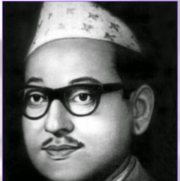 पुष्पलाल स्मृति दिवस