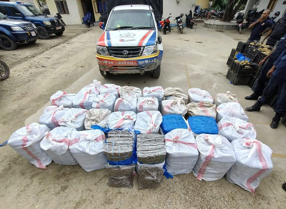 फलको बोरामा लागूऔषध, तीन जना पक्राउ