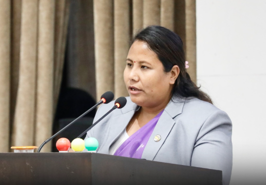 समस्या समाधान गर्न अध्ययन समिति गठन