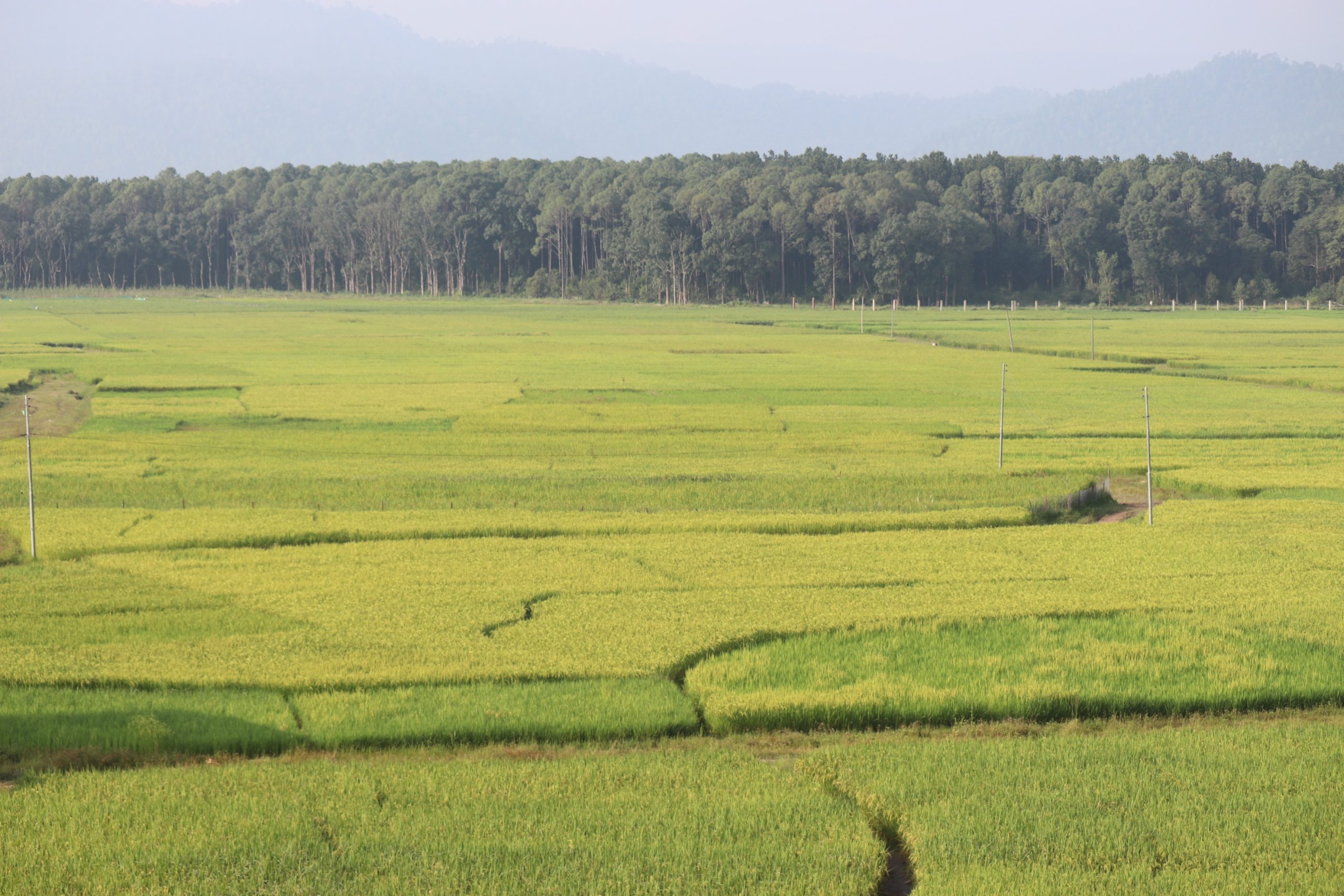 कर्णालीमा खेती गरिएको ६९ प्रतिशत जमिन सिँचाइविहीन